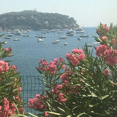 Lisa V * Cannes