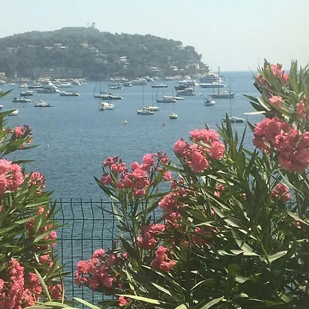Lisa V * Cannes