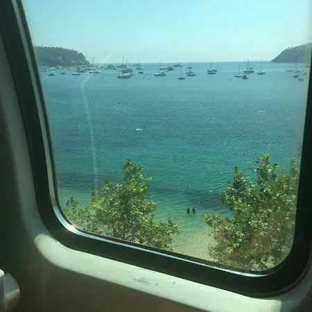 Lisa V Cannes