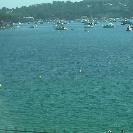 Lisa V Cannes